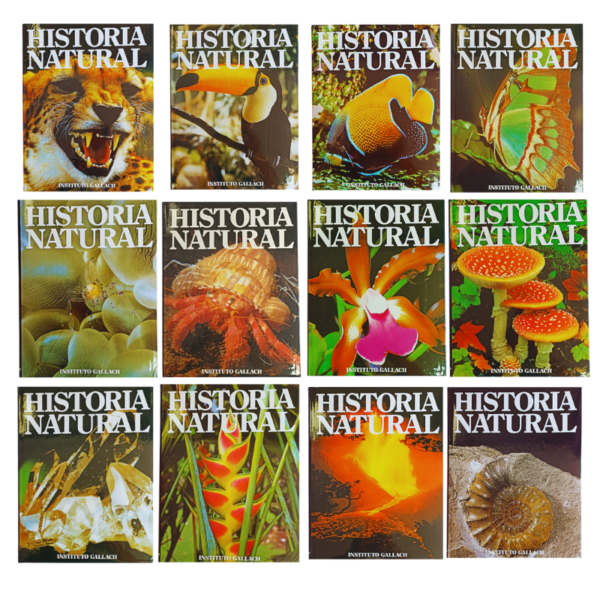 HISTORIA NATURAL 12 TOMOS OCEANO-INSTITUTO GALLACH - Image 2