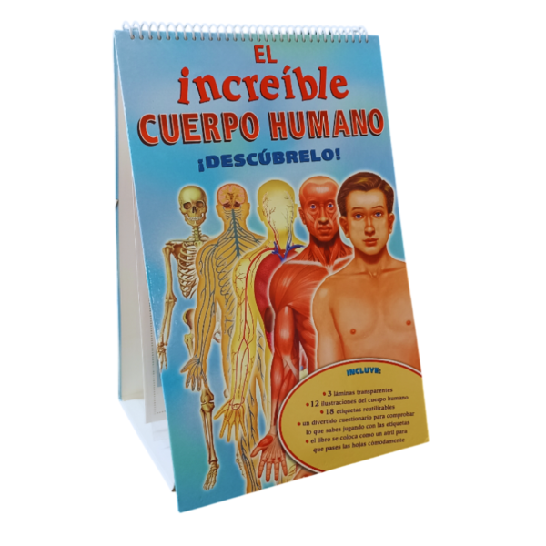 EL INCREIBLE CUERPO HUMANO EN LAMINAS - Image 3