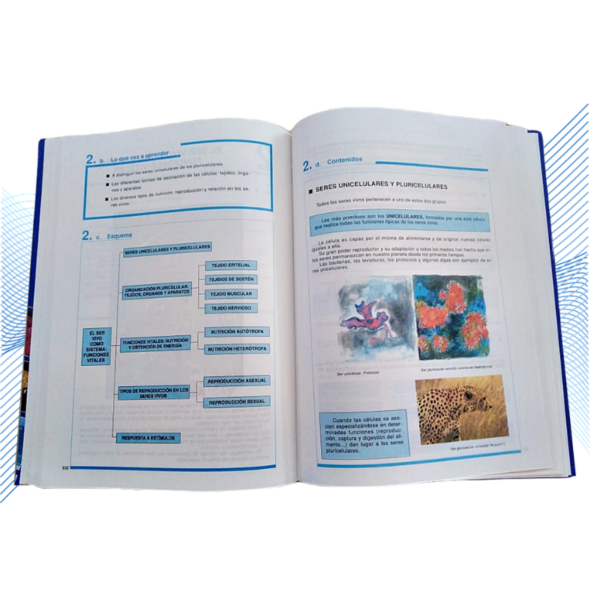 ENCICLOPEDIA TEMATICA EDUCATIVA 5 TOMOS - Image 2
