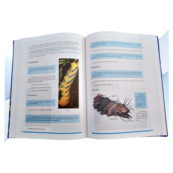 ENCICLOPEDIA TEMATICA EDUCATIVA 5 TOMOS - Image 3
