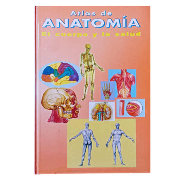 ATLAS DE ANATOMIA EL CUERPO Y LA SALUD 1 TOMO