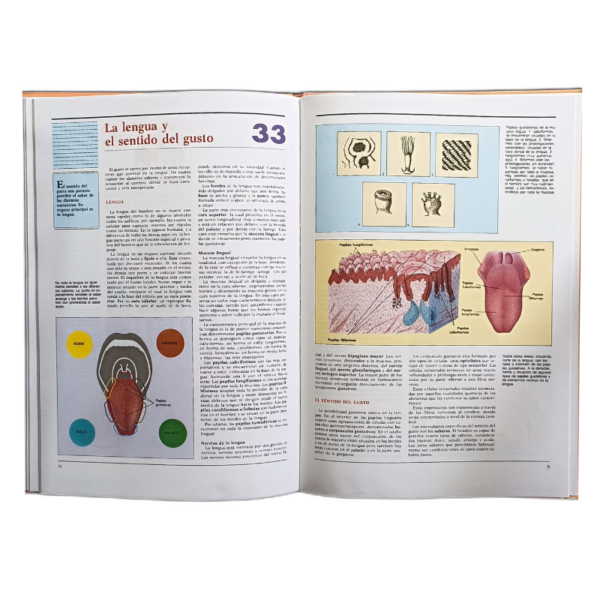 ATLAS DE ANATOMIA EL CUERPO Y LA SALUD 1 TOMO - Image 2