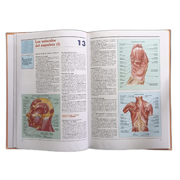 ATLAS DE ANATOMIA EL CUERPO Y LA SALUD 1 TOMO - Image 3