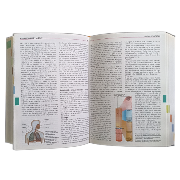 ENCICLOPEDIA TEMATICA ESTUDIANTIL 3 TOMOS - Image 3