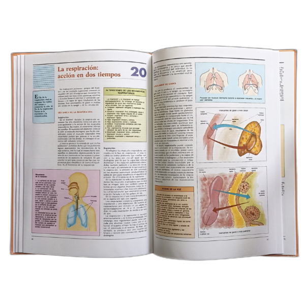ATLAS DE ANATOMIA EL CUERPO Y LA SALUD 1 TOMO - Image 4