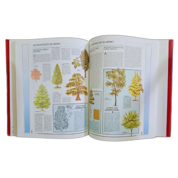 ENCICLOPEDIA LAROUSSE TEMATICO UNIVERSAL 6T - Image 2