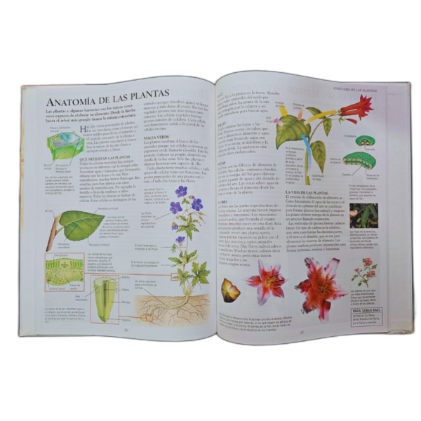 LAROUSSE ENCICLOPEDIA DE LAS CIENCIAS 5 TOMOS - Image 4