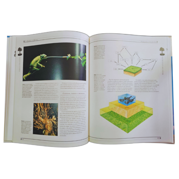 LIBRO EL HOMBRE Y SU MUNDO CIENCIA Y TECNOLOGIA 1 TOMO - Image 4