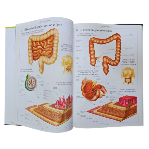 ENCICLOPEDIA TEMATICA DEL CUERPO HUMANO 3 TOMOS - Image 4