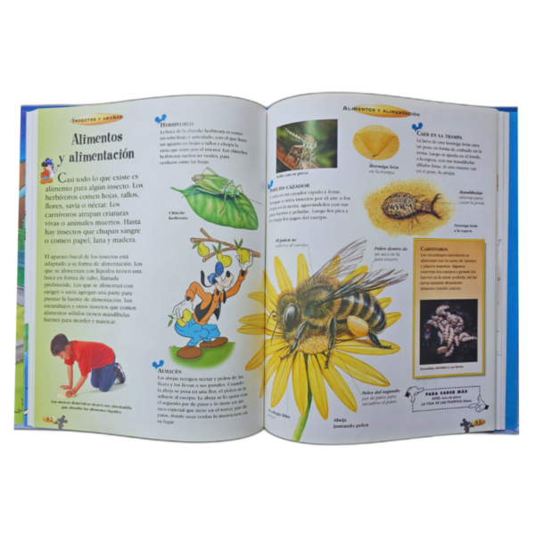 ENCICLOPEDIA INFANTIL DISNEY 8 TOMOS - Image 5