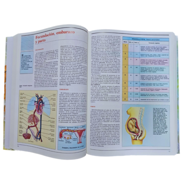 GRAN ENCICLOPEDIA A COLOR DE CIENCIAS NATURALES 1 TOMO - Image 2