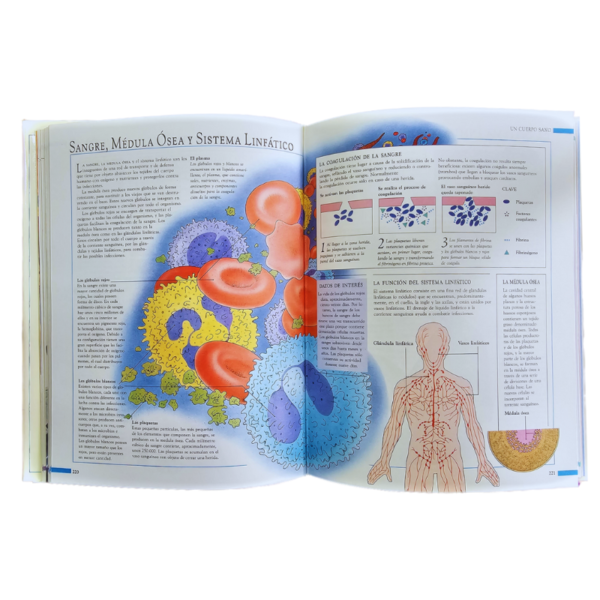 ENCICLOPEDIA DE LA SALUD PARA TODA LA FAMILIA 2 TOMOS - Image 6