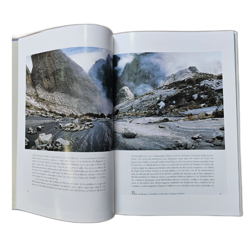 PARAISOS OLVIDADOS 1 TOMO CON 2VHS - Image 3