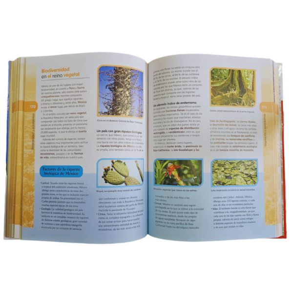 ENCICLOPEDIA ESCOLAR DE MEXICO 3 TOMO CON CD-ROM - Image 3