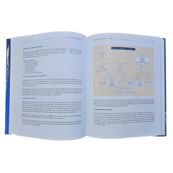 ATLAS DE DERMATOLOGIA PEDIATRICA 1 TOMO - Image 3
