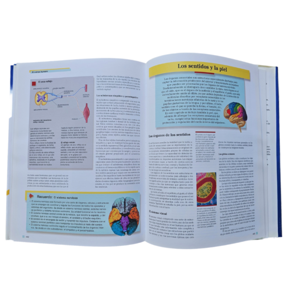 PROGRESIVA ENC. INTERACTIVA DE APOYO AL ESTUDIO 6 TOMOS 2CD-ROM/2DVD'S - Image 4