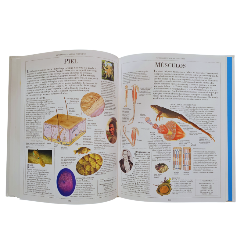 ENCICLOPEDIA DE LA CIENCIA 3 TOMOS - Image 3