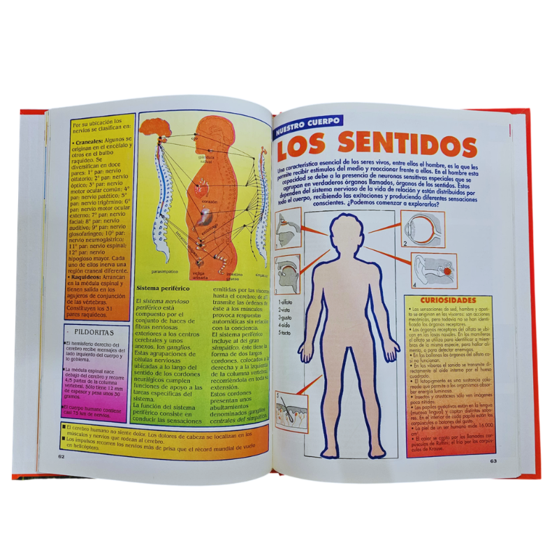 ENCICLOPEDIA PRACTICA ESCOLAR REZZA 1ERA SERIE 6 TOMOS - Image 5