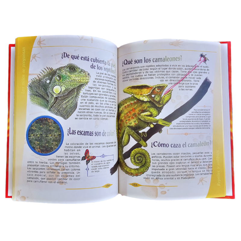 MI PRIMERA BIBLIOTECA INFANTIL 10 TOMOS - Image 6