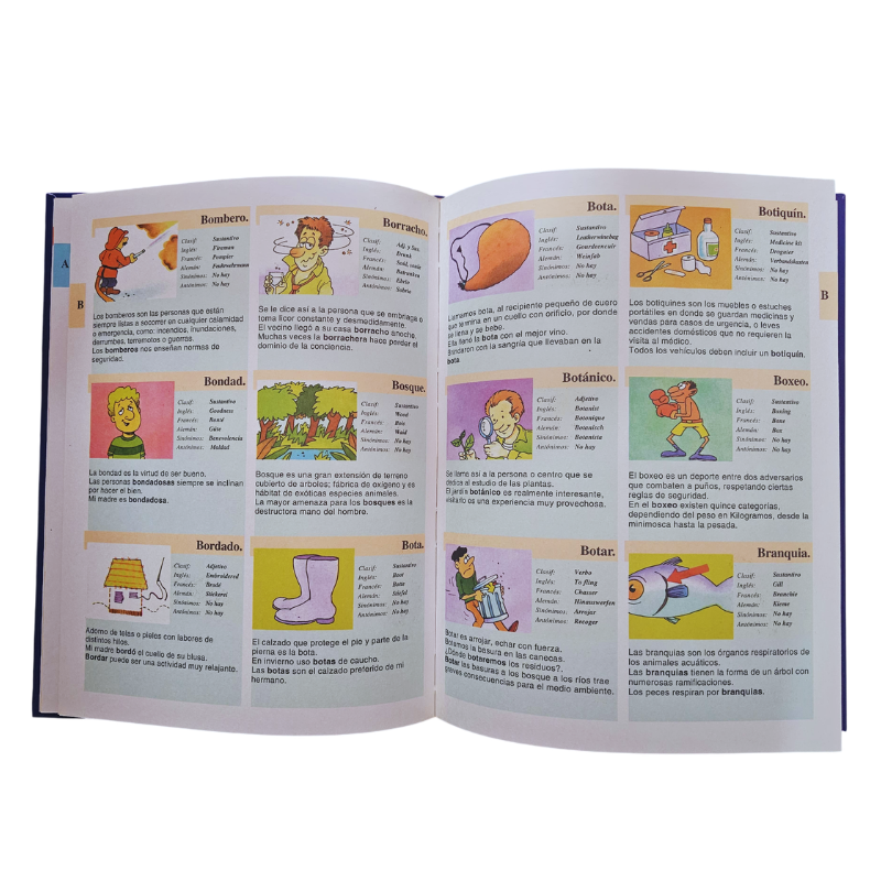 DICCIONARIO INFANTIL ILUSTRADO: LA MAGIA DEL LENGUAJE 6 TOMOS - Image 2