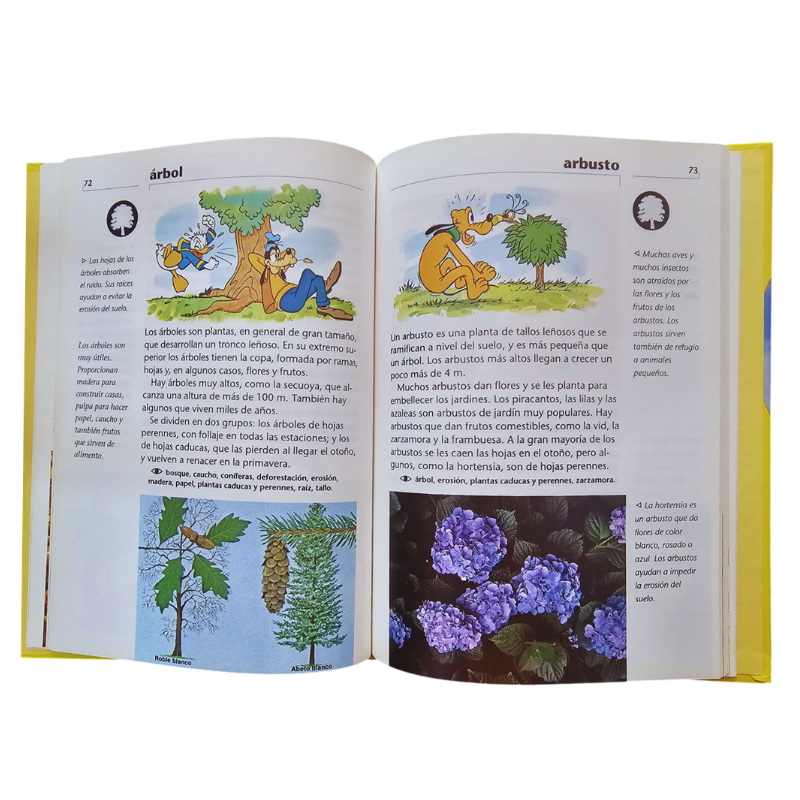 MI ENCICLOPEDIA ACTIVA DISNEY 6 TOMOS - Image 4