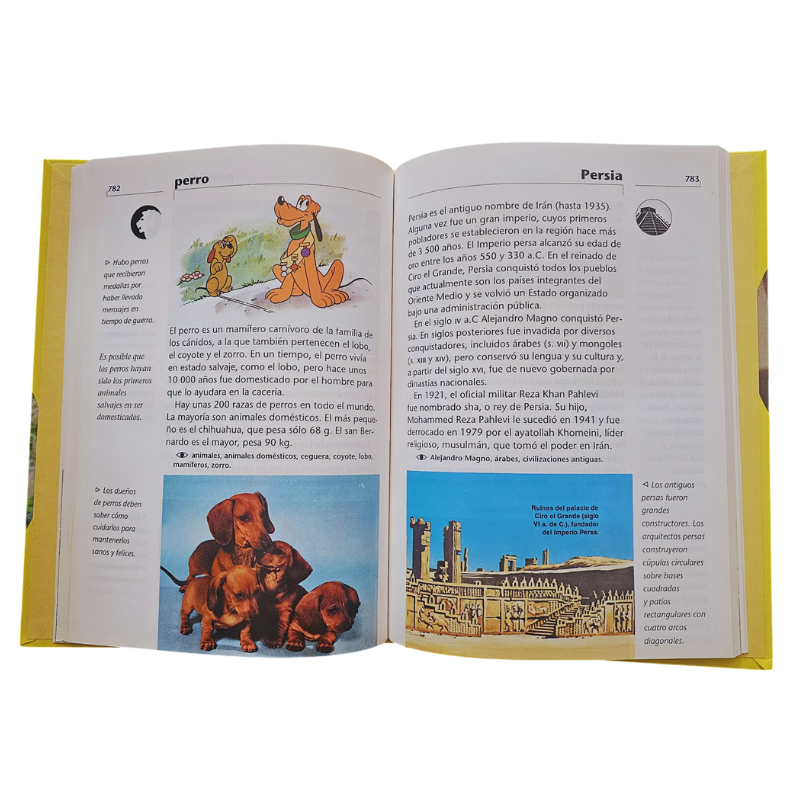 MI ENCICLOPEDIA ACTIVA DISNEY 6 TOMOS - Image 5