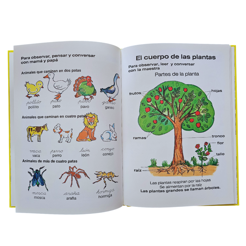 JUEGO Y APRENDO CON DALY 5 TOMOS - Image 3